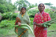 Integrierte Landwirtschaft auf den Sundarbans