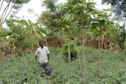 Ein Mann im Feld in Malawi 