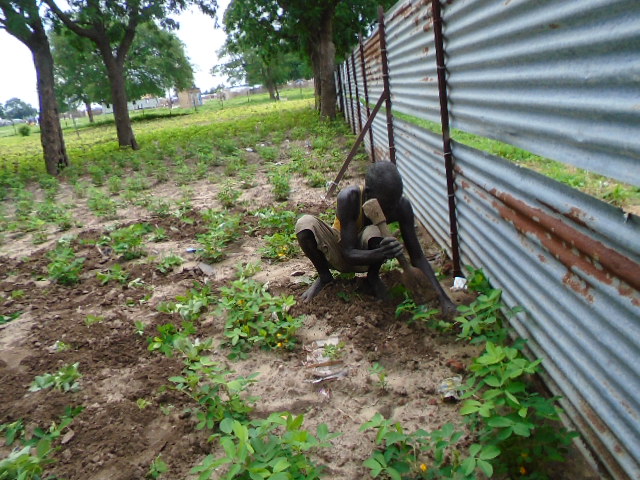 Von Hoffnung getragen: Nach den zerstörerischen Überschwemmungen versu- chen viele Bewohner Tongas, ihre Felder neu zu bestellen, um sich bald wieder  selbst versorgen zu können. Von Hoffnung getragen: Nach den zerstörerischen Überschwemmungen versu- chen viele Bewohner Tongas, ihre Felder neu zu bestellen, um sich bald wieder  selbst versorgen zu können.