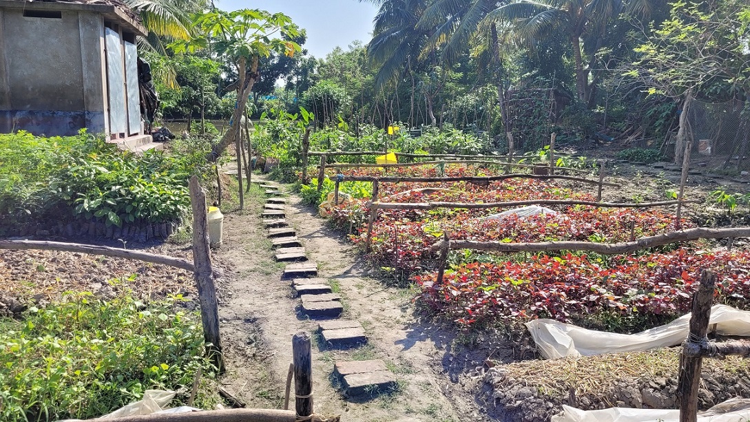 Gemüseanbau auf den Sundarbans