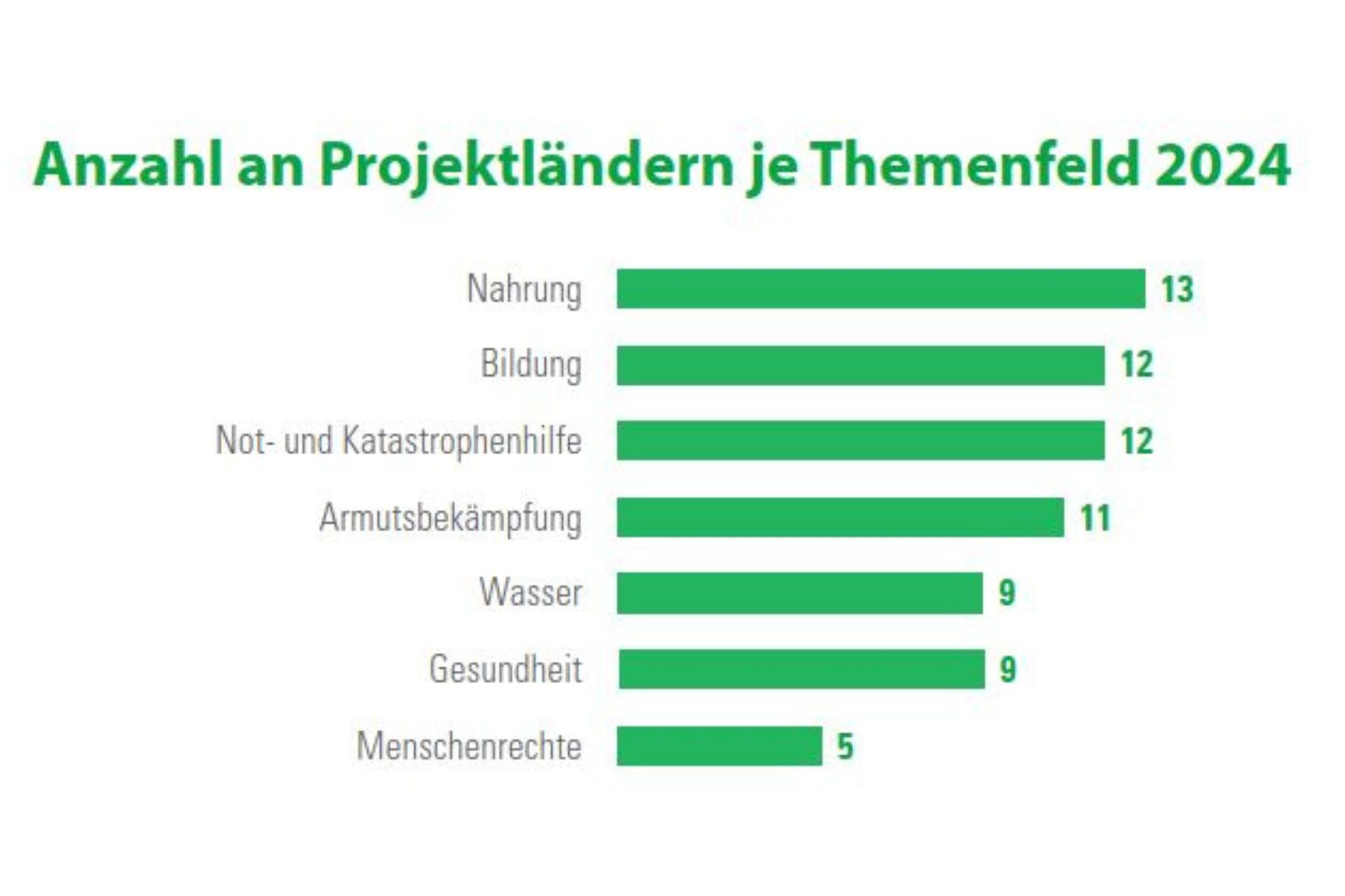 Jahresbericht 2024