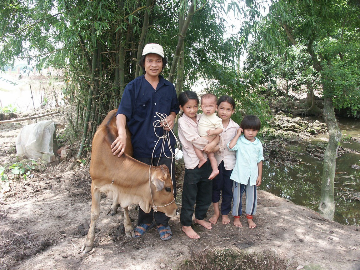 Aus eigener Kraft der Armut entfliehen: In Vietnam unterstützen wir Tierzuchtprojekte. Sozial benachteiligte Familien erhalten Schweine oder Kühe als Mikrokredit. Aus eigener Kraft der Armut entfliehen: In Vietnam unterstützen wir Tierzuchtprojekte. Sozial benachteiligte Familien erhalten Schweine oder Kühe als Mikrokredit.