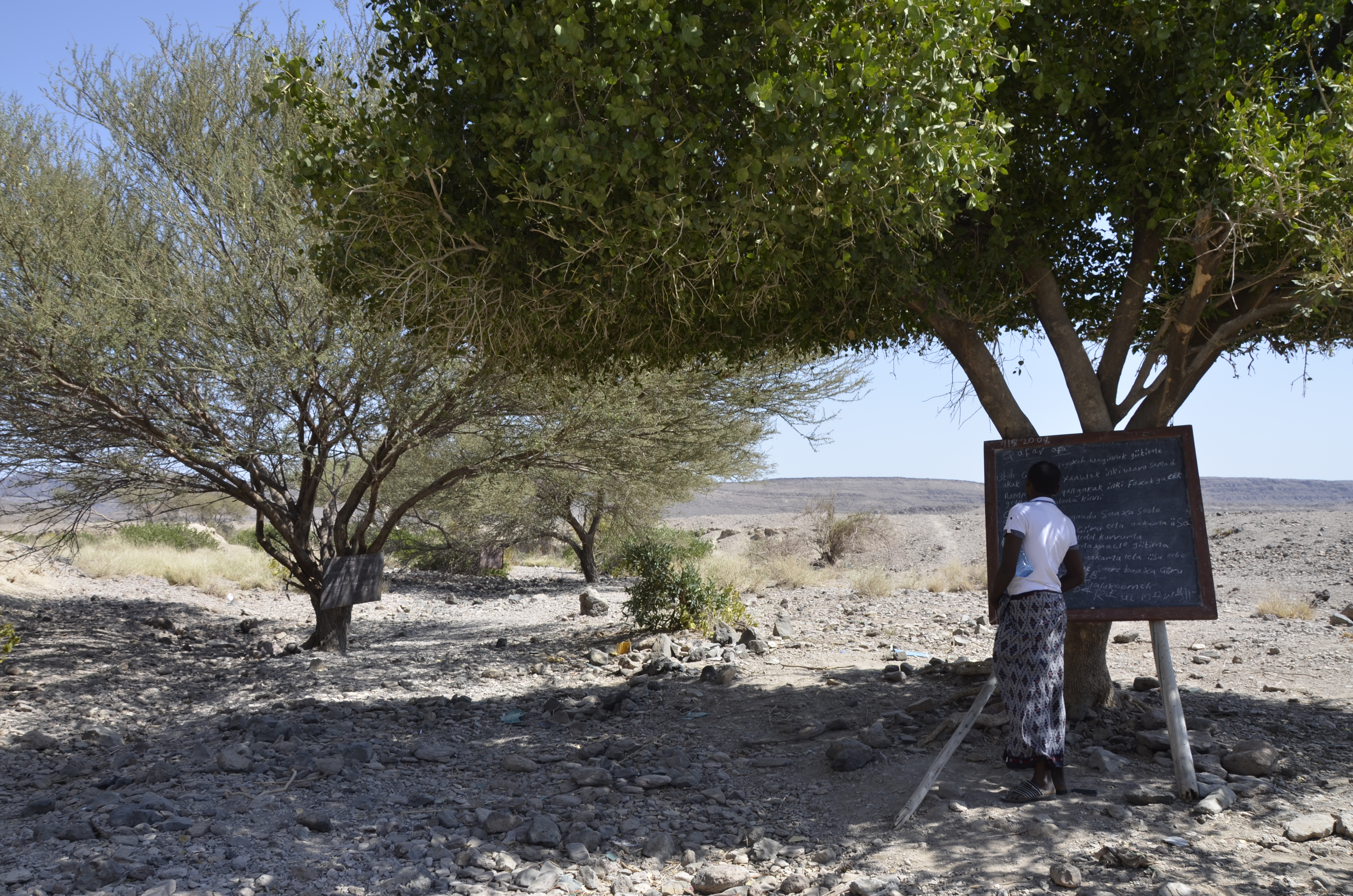 Drei Bäume, drei Tafeln, drei Klassen: eine Schule in Maska (Region Afar) in Äthiopien. Es mag schlicht erscheinen, doch die Zukunftschancen, die sich allein aus der Fähigkeit des Lesens und Schreibens für die Jugendlichen und Kinder auftun, sind enorm. Drei Bäume, drei Tafeln, drei Klassen: eine Schule in Maska (Region Afar) in Äthiopien. Es mag schlicht erscheinen, doch die Zukunftschancen, die sich allein aus der Fähigkeit des Lesens und Schreibens für die Jugendlichen und Kinder auftun, sind enorm. Darauf hoffen auch ihre Eltern.