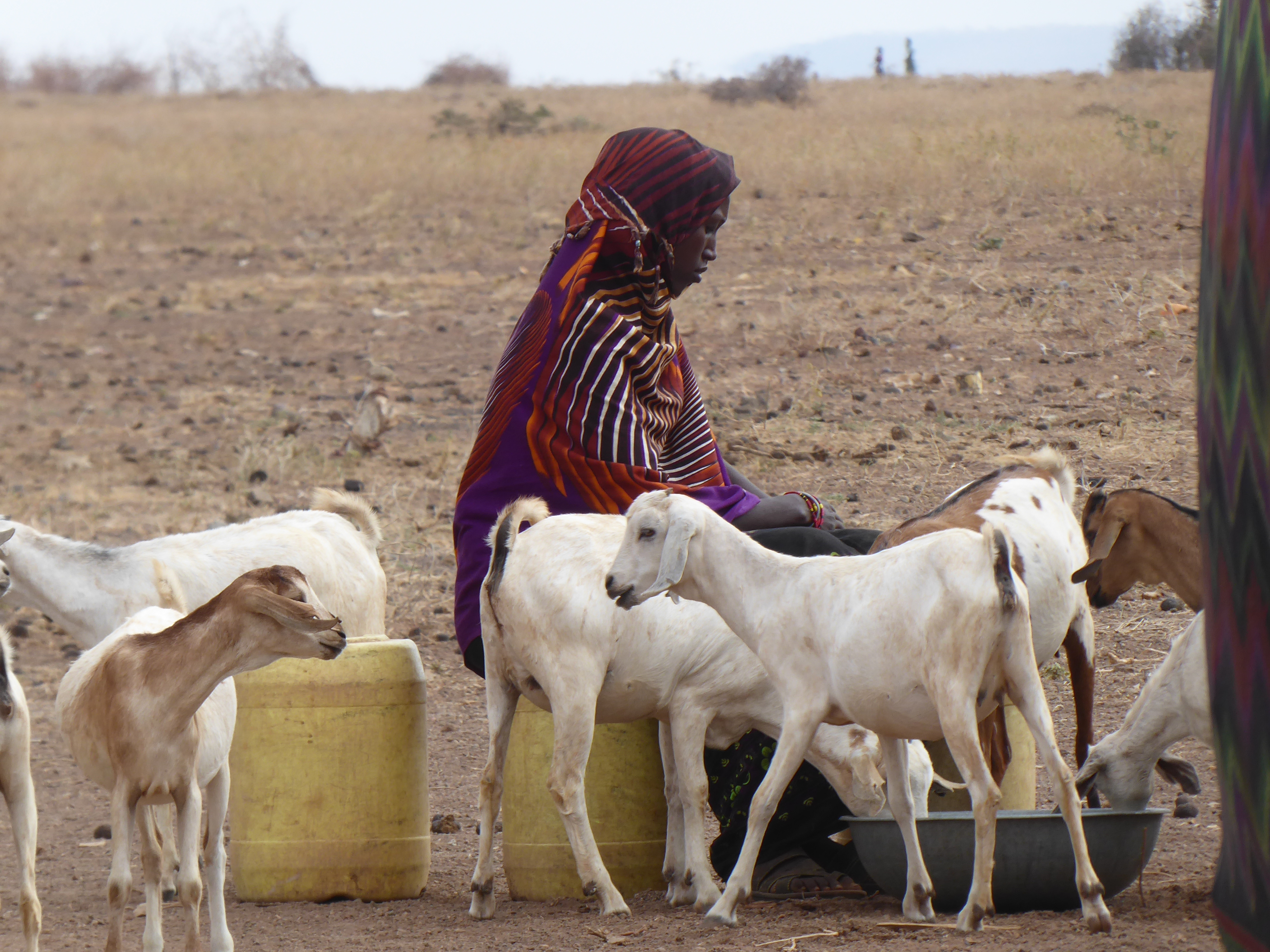 Der nordkenianische Bezirk Marsabit ist von Trockenheit geprägt. Die Menschen leben nomadisch und ziehen mit ihren Tierherden auf der Suche nach Weideland umher.