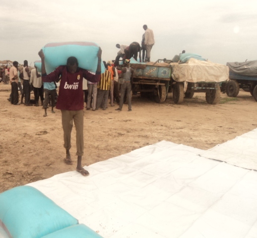 Nicht nur rund um unsere Klinik in Nyal, auch in der Diözese Malakal leiden die Dorfbewohner unter Nahrungsmittelknappheit. Wir wollen 1.000 Familien in Malakal mit der Verteilung von Sorghum helfen.