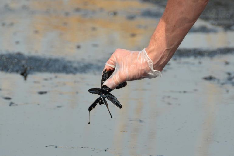 Die Umweltverschmutzung durch die Ölindustrie bedroht auch die Flora und Fauna der Region. Tiere und Pflanzen ersticken im Öl.
