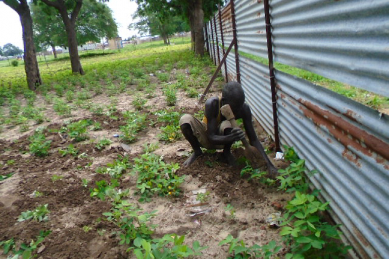 Von Hoffnung getragen: Nach den zerstörerischen Überschwemmungen versu- chen viele Bewohner Tongas, ihre Felder neu zu bestellen, um sich bald wieder  selbst versorgen zu können.