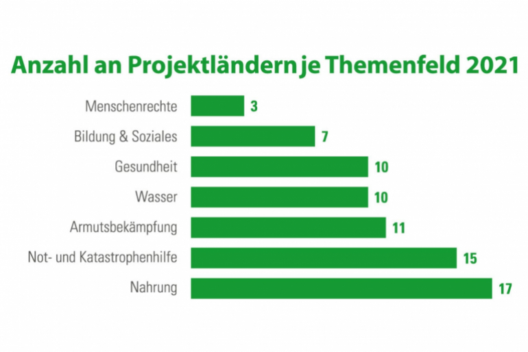 Anzahl an Projektländer je Themenfeld 2021