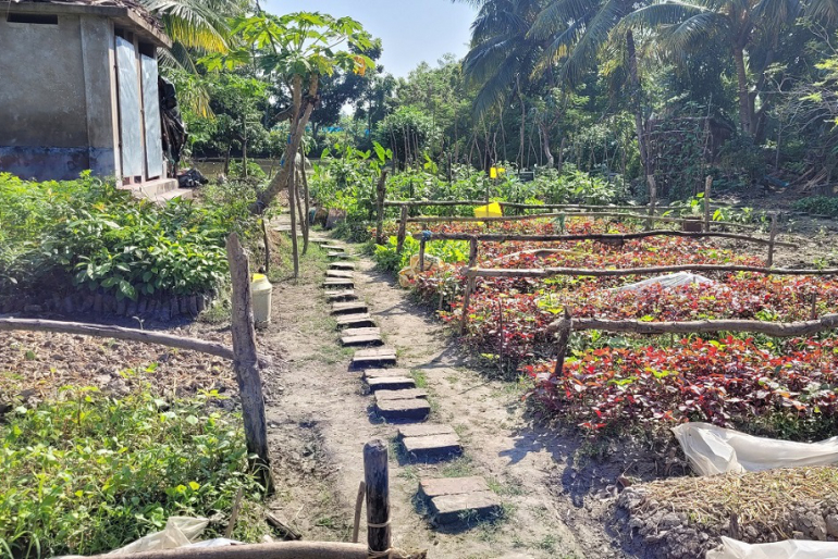 Gemüseanbau auf den Sundarbans