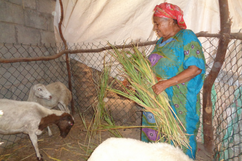 Aisha freut sich über ihre Viehzucht, mit der sie sich selbst versorgen kann.