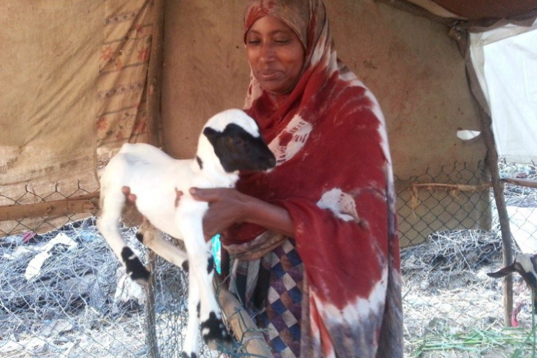 Amal hat ihre kleine Herde um weitere Tiere erweitern können.