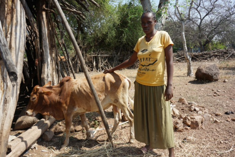 Tierzucht Äthiopien