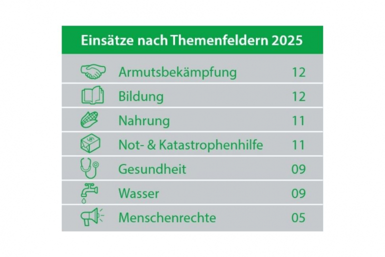 Einsätze nach Themenfelder 2025 in unserem Jahresbericht