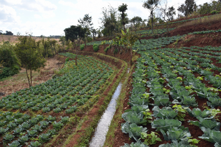 Mit Aushebungen in Form von Kanälen wird Flusswasser zwischen den Anbauterrassen gesammelt. Das Wasser nutzen die Bewohner zur Bewässerung ihrer Gemüse- und Obstpflanzen.