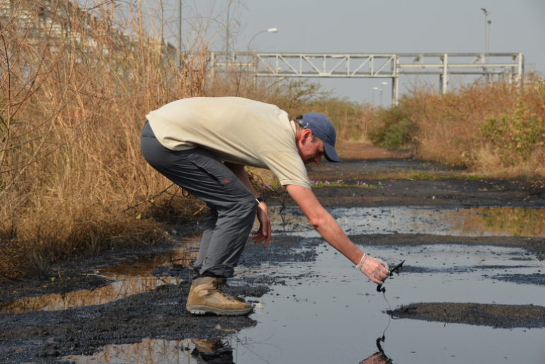 Auch wenn momentan die Ölproduktion aufgrund des anhaltenden Konfliktes gestoppt ist, die Umwelt bleibt verschmutzt. Mensch, Tier und Pflanzenwelt des einzigartigen Sumpfgebietes Sudd sind gefährdet.