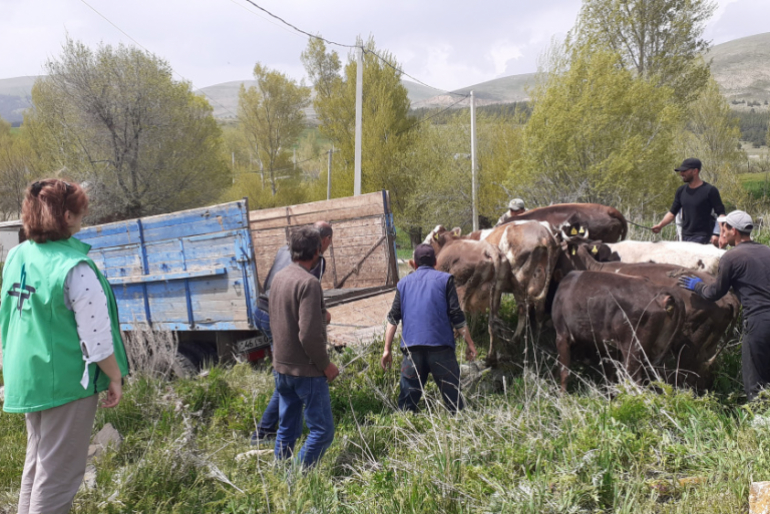 In der nordarmenischen Region Schirak ist die Infrastruktur nur gering ausgebildet, und auch Landwirtschaft ist schwierig. Tierzucht hat dort dagegen eine lange Tradition.