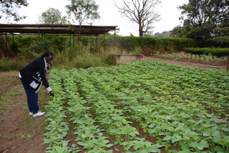 Das Wissen erhalten die Gruppen in Feldschulen von Hoffnungszeichen- Projektpartner SOCADIDO. Es geht nicht nur darum, kurzfristig Nahrung zu gewinnen, sondern auch für die Zukunft „zu säen“.