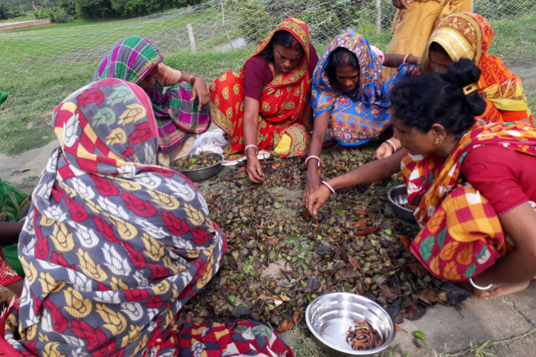 Bauernfamilien haben eine Kooperative gegründet, in der Mithu Rani Giri  ihr Wissen weitergibt. Die gegenseitige Unterstützung trägt wesentlich zum  Erfolg des Projektes bei.