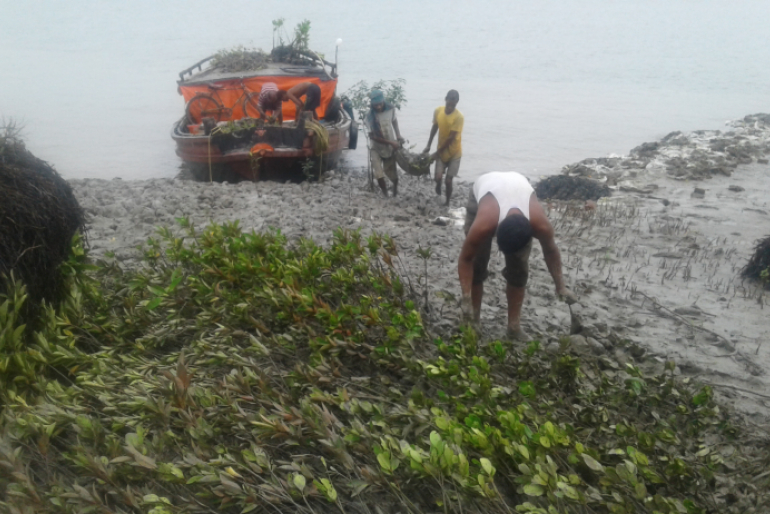 Die Wiederaufforstung von Mangrovenwäldern in der Uferregion ist ein weite- res Element des groß angelegten Projekts, um das ökologische Gleichgewicht  zu fördern.