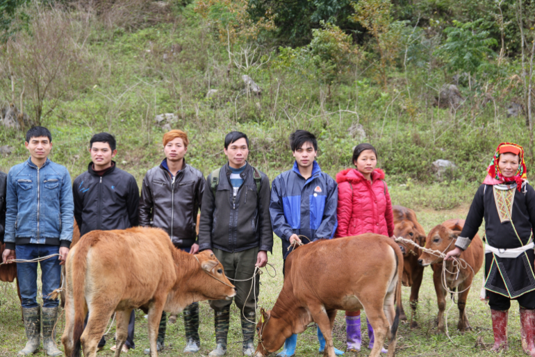 Thanh Lam (Mitte) ist auch Leiter einer der Bauernkooperativen im Distrikt Bac Son. Er kümmert sich um die Tiergesundheit und verwaltet den Sparfonds der Mitglieder.