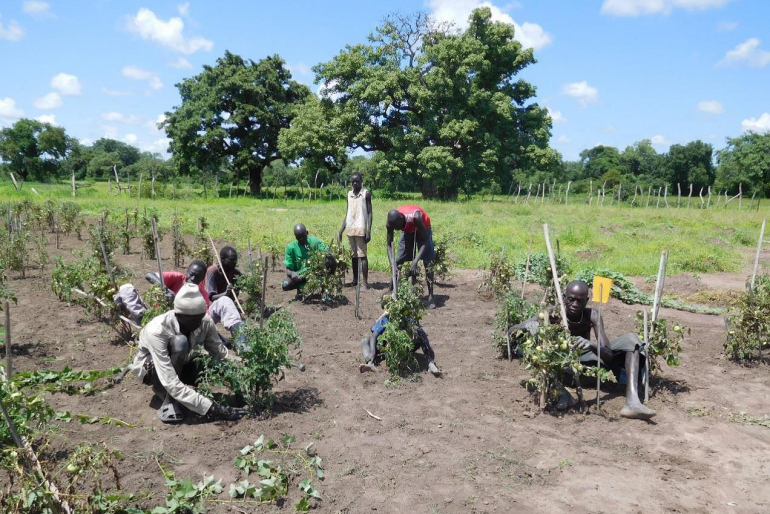 Leprakranke arbeiten im Gemüsegarten neben einer Wasserstelle.