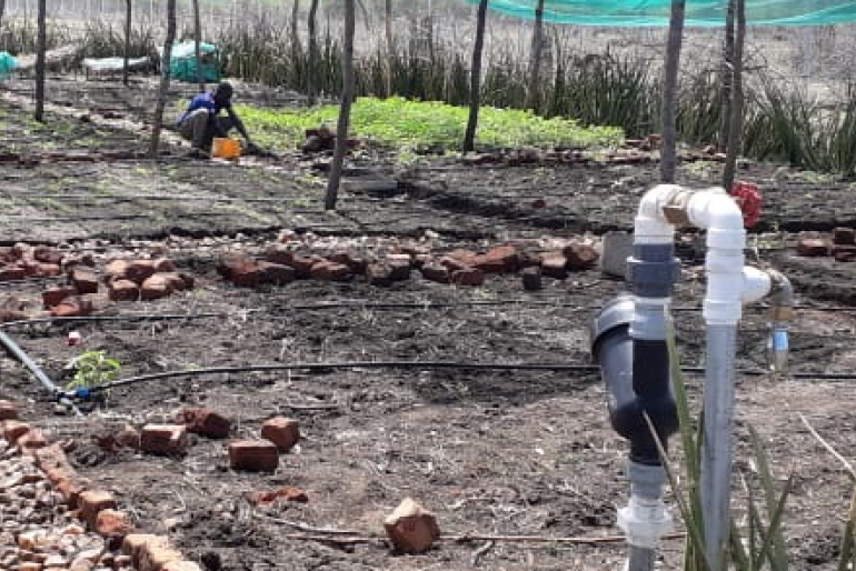 Diese Hilfe ist dringend nötig, denn aktuell herrscht in der Region eine große Trockenheit, die die Ernten größtenteils verdorren ließ. Nahrung ist teuer, viele Menschen leiden Hunger.