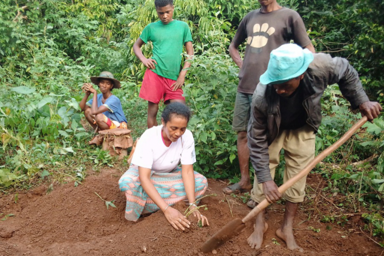 Die begünstigten Familien werden von unserem Partner in neuen klimaresistenten Anbaumethoden geschult.