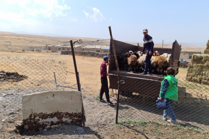 Die nächste Übergabe von Schafen ist diesen Sommer geplant. Mit Ihrer Gabe tragen Sie zur Existenzsicherung verarmter Menschen in Nordarmenien bei.