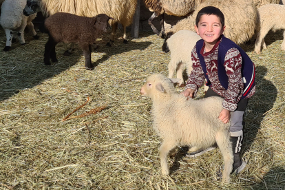 Kind mit Schafn in Armenien