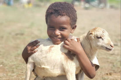 Ein Junge freut sich im Jemen über ein Schaf