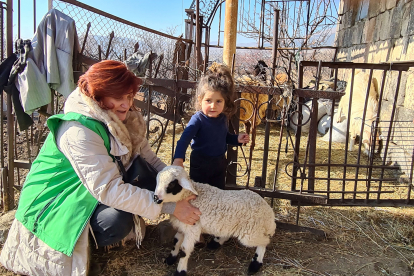 Benachteiligten Menschen ist am sinnvollsten geholfen, wenn sie ihre Situation aktiv selbst verbessern können – zum Beispiel mit Tierzucht. Deshalb unterstützten wir verarmte Haushalte in Armenien, indem wir ihnen Schafe übergaben. Die Tiere ermöglichen den Menschen sich selbst zu versorgen und ein kleines Einkommen zu erwirtschaften.
