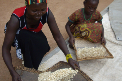 Frau und Tochter säubern Mais.