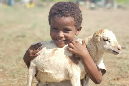 Ein Junge freut sich im Jemen über ein Schaf