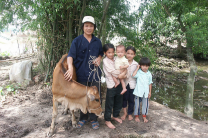 Aus eigener Kraft der Armut entfliehen: In Vietnam unterstützen wir Tierzuchtprojekte. Sozial benachteiligte Familien erhalten Schweine oder Kühe als Mikrokredit. Aus eigener Kraft der Armut entfliehen: In Vietnam unterstützen wir Tierzuchtprojekte. Sozial benachteiligte Familien erhalten Schweine oder Kühe als Mikrokredit.