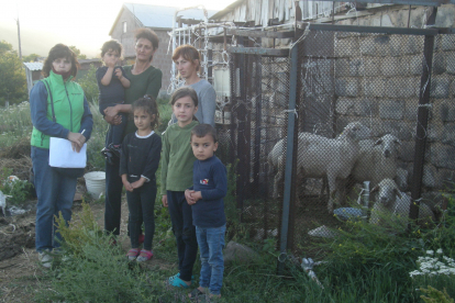  Mit fünf Schafen bekommt die Familie von Ruzanna Abrahamyan eine nachhaltige Möglichkeit, sich selbst zu versorgen und eine kleine Viehzucht aufzubauen. / (Titel)
