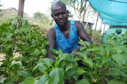 Lukwang Andrew (31) ist stolz auf das, was er erreicht hat. Dank der Ausbildung an der Landwirtschaftsfachschule in Adraa lernte er, Gemüse anzupflanzen: mit Erfolg – seine Pflanzen gedeihen prächtig.