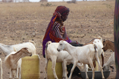 Der nordkenianische Bezirk Marsabit ist von Trockenheit geprägt. Die Menschen leben nomadisch und ziehen mit ihren Tierherden auf der Suche nach Weideland umher.