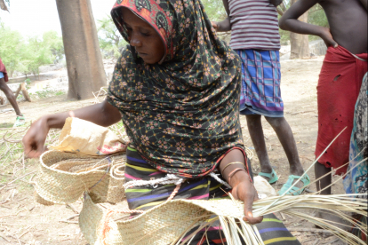 Aus den Fasern dieses Baumes (rechts) flechten Afar-Frauen kunstfertig lange Matten, die ihre transportfähigen Häuser bedecken. Viele fertigen sie nur für den Eigenbedarf an, doch stellt der Verkauf auch eine mögliche Einkommensquelle dar.