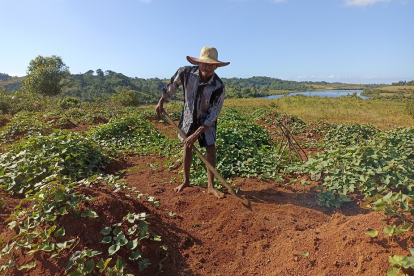 Hoffnungszeichen hilft von Zyklonen betroffenen Menschen in Madagaskar, ihre Lebensgrundlage langfristig wiederaufzubauen und dem Hunger entgegenzuwirken.