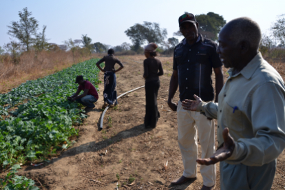 In Sambia unterstützt Hoffnungszeichen Dorfbewohner mit Saatgut, damit sie nachhaltig Obst und Gemüse erwirtschaften können. / (Titel) In Sambia unterstützt Hoffnungszeichen Dorfbewohner mit Saatgut, damit sie nachhaltig Obst und Gemüse erwirtschaften können.