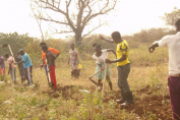 Hoffnung in der Flüchtlingssiedlung in Uganda: südsudanesische Flüchtlinge sowie Einheimische erhalten durch eine Landwirtschaftsausbildung eine neue Perspektive. 