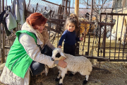 Kind und Schaf in Armenien