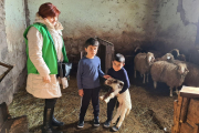 Kinder mit Schafen in Armenien