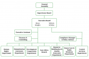 Organigram of Sign of Hope