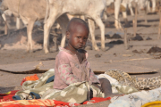 Vor allem Kinder unter fünf Jahren leiden stark, wenn sie dauerhaft Hunger leiden.