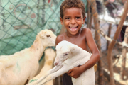 Der Sohn unserer Projektteilnehmerin Hussina Omar freut sich über den „Familienzuwachs“: Drei junge Schafe dienen seiner Mutter als zukünftige Erwerbsmöglichkeit.