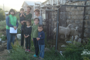  Mit fünf Schafen bekommt die Familie von Ruzanna Abrahamyan eine nachhaltige Möglichkeit, sich selbst zu versorgen und eine kleine Viehzucht aufzubauen. / (Titel)