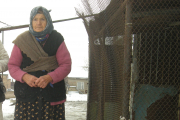 Knarik Martirosyan lebt allein in einem schadhaften Häuschen. Da sie kein Geld für Heizmaterial hat, geht sie gelegentlich zu den Nachbarn, um sich aufzuwärmen.