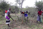 Voller Tatendrang und Zuversicht helfen die Menschen aus der Region Karamoja das Land für den Bau der Krankenstation von Hoffnungszeichen vorzubereiten.