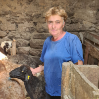 Manuschak Eghischjan (61) freut sich über die Schafe, die ihre Familie erhalten  hat. Die Tiere schenken der Frau Hoffnung auf ein besseres Leben.
